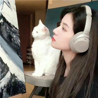 上海惊奇