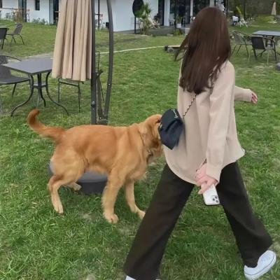天使与怨灵